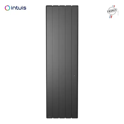 Radiateur vertical beladoo nativ avec puissance de 1000 watts en couleur anthracite, connecté av