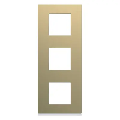 Plaque gallery plastique peint 3 postes verticale 71mm champagne