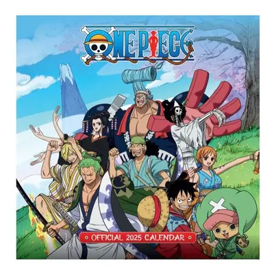 One Piece - One Piece 2025 - Calendrier - multicolore - 150g/m²