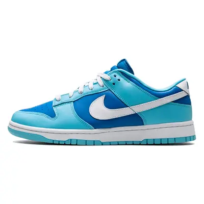 Nike Dunk Low Argon