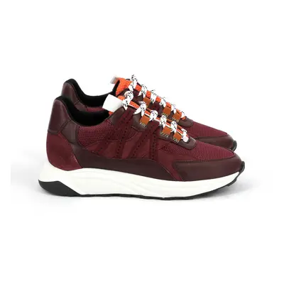 Sneakers femme Piola Ica