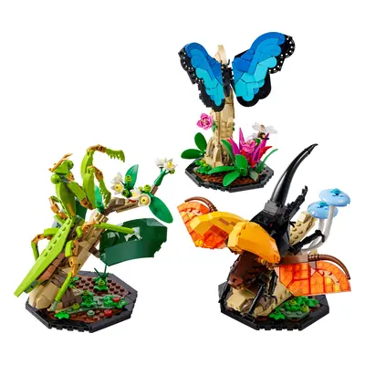 La collection d'insectes