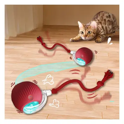 Jouets interactifs pour chat Balle roulante automatique Fausse queue Rechargeable Jouet électriq