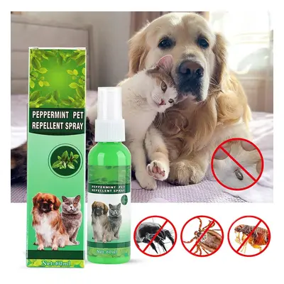 Nouvelles gouttes anti-puces haut de gamme pour animaux de compagnie 60 ml Anti-puces Tiques Cha