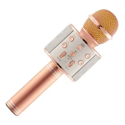 Riff WS-858 Microphone karaoké avec haut-parleurs Aux et Micro SD Or Rose - Neuf