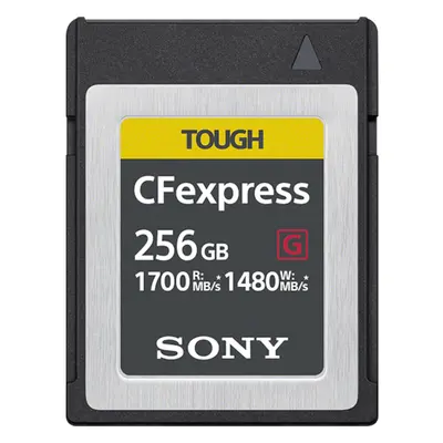 Sony CEB-G256 mémoire flash 256 Go Carte PC - Neuf