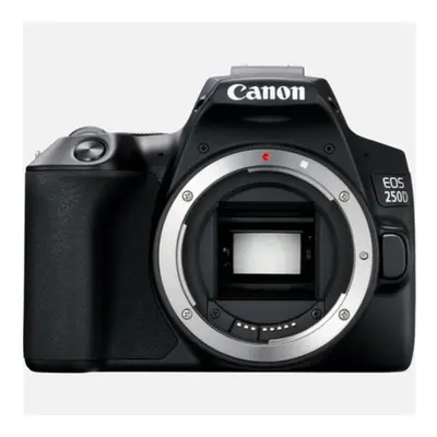 Canon EOS 250D + 18-55mm IS STM Kit d'appareil-photo SLR 24,1 MP CMOS 6000 x 4000 pixels Noir - 