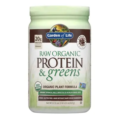 Raw Organic Shake Protéines et Superfood - Chocolat - 610g