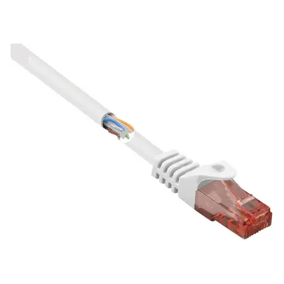 Renkforce RF-5044028 RJ45 Câble réseau, câble patch CAT 6 U/UTP 5.00 m blanc avec cliquet dencas