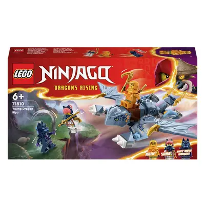 71810 LEGO® NINJAGO Riyu le dragon de bébé