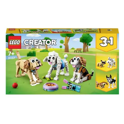 31137 LEGO® CREATOR Chiens mignon