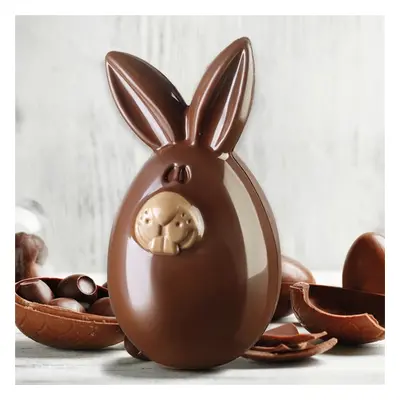 Moule lapin en chocolat