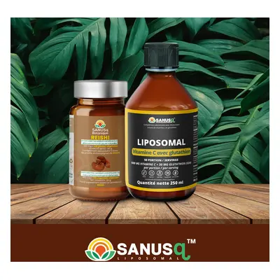 Pack vitamine C et reishi | SANUSq Health