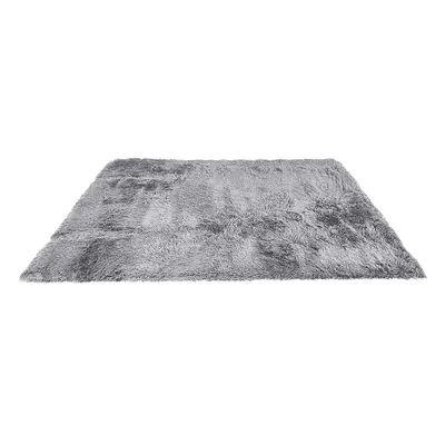 Coast Living Room Tapis avec points d'accroche antidérapants - Gris clair - 180 x 120 cm