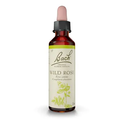 Fleurs de Bach® Original Wild Rose N° 37 Goutte(S) 20 ml