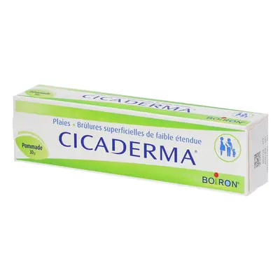 Boiron Cicaderma® Pommade(S) 30 g